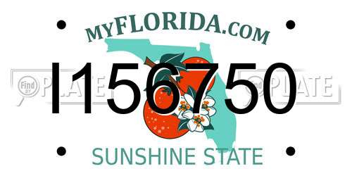 I156750 Florida License Plate