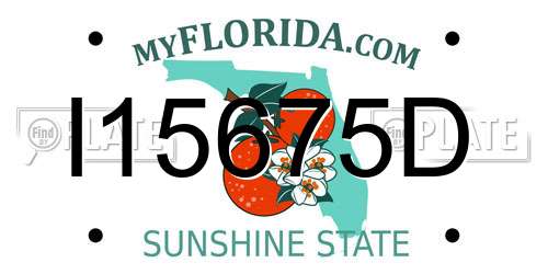 I15675D Florida License Plate
