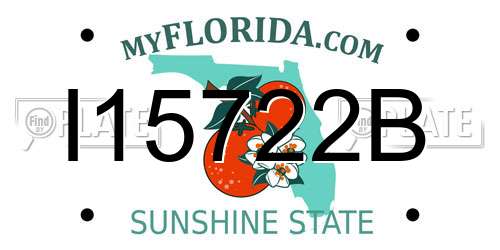 I15722B Florida License Plate
