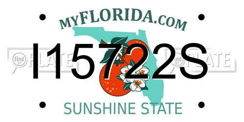I15722S Florida License Plate