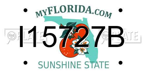 I15727B Florida License Plate