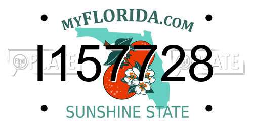 I157728 Florida License Plate