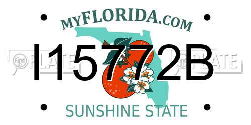 I15772B Florida License Plate