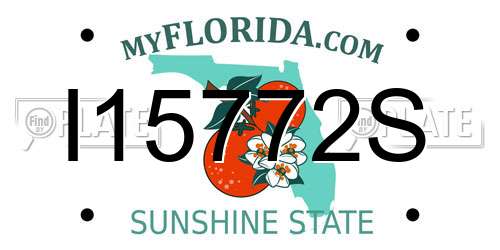 I15772S Florida License Plate
