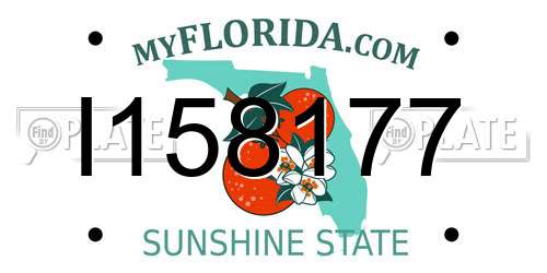 I158177 Florida License Plate