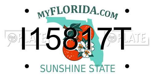 I15817T Florida License Plate