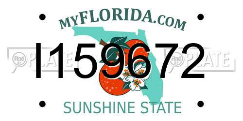 I159672 Florida License Plate