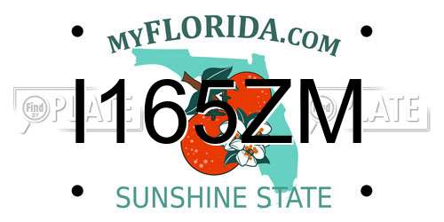 I165ZM Florida License Plate