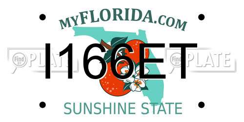 I166ET Florida License Plate