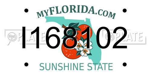 I168102 Florida License Plate