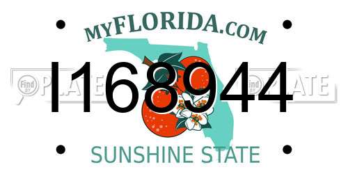 I168944 Florida License Plate