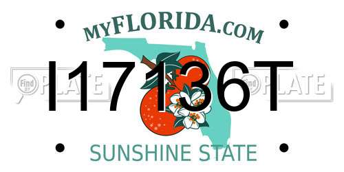 I17136T Florida License Plate