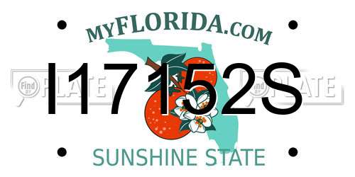 I17152S Florida License Plate