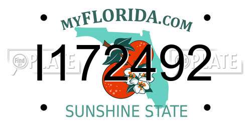 I172492 Florida License Plate