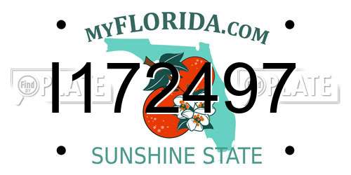 I172497 Florida License Plate