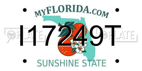 I17249T Florida License Plate