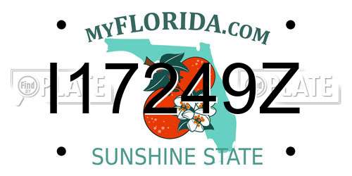 I17249Z Florida License Plate
