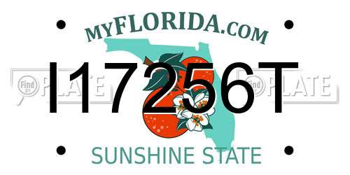 I17256T Florida License Plate