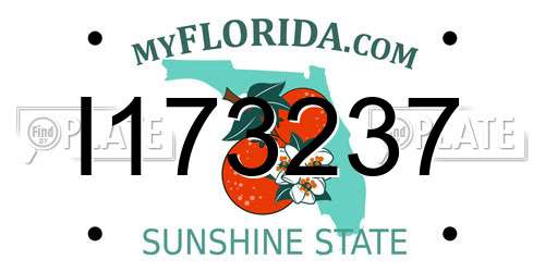 I173237 Florida License Plate