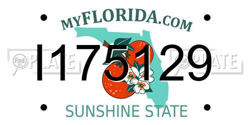 I175129 Florida License Plate