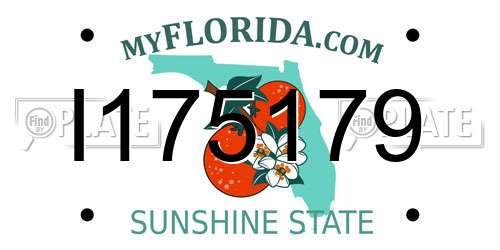 I175179 Florida License Plate