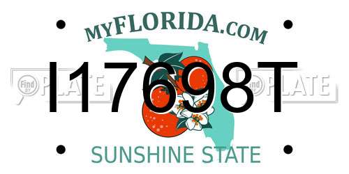 I17698T Florida License Plate