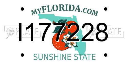 I177228 Florida License Plate