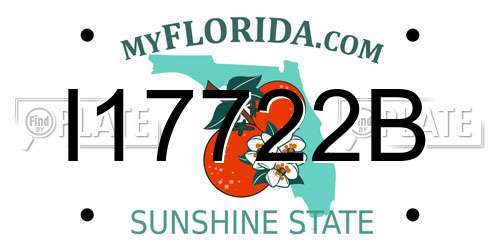 I17722B Florida License Plate