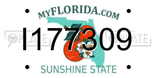 I177309 Florida License Plate