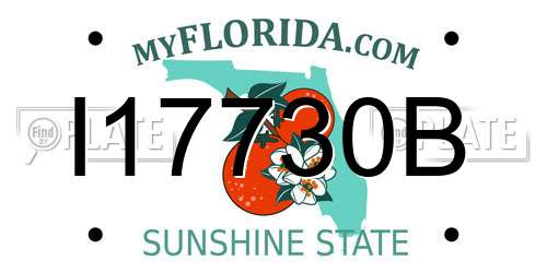 I17730B Florida License Plate