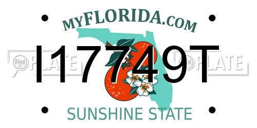 I17749T Florida License Plate