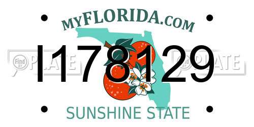 I178129 Florida License Plate