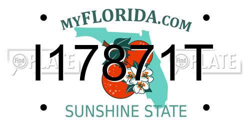 I17871T Florida License Plate