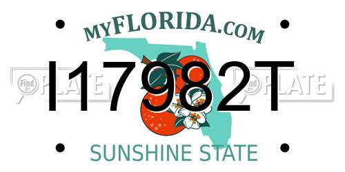 I17982T Florida License Plate