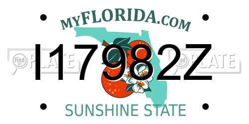 I17982Z Florida License Plate