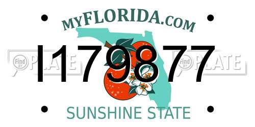 I179877 Florida License Plate