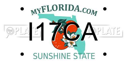 I17CA Florida License Plate