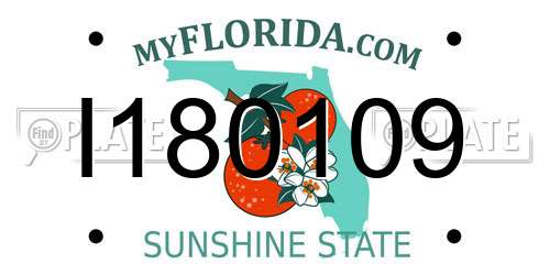 I180109 Florida License Plate
