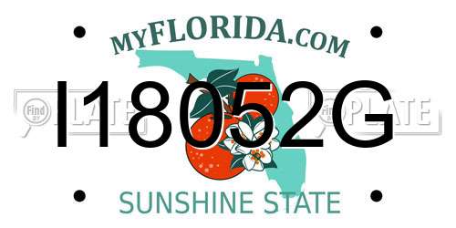I18052G Florida License Plate
