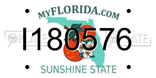 I180576 Florida License Plate