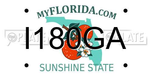I180GA Florida License Plate