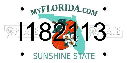 I182113 Florida License Plate