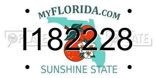 I182228 Florida License Plate