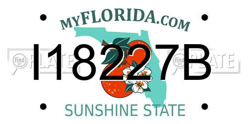 I18227B Florida License Plate