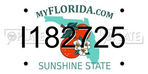 I182725 Florida License Plate