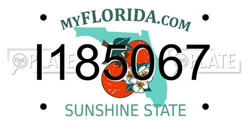 I185067 Florida License Plate