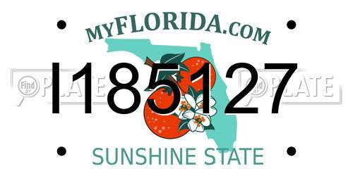 I185127 Florida License Plate