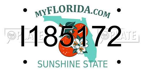 I185172 Florida License Plate