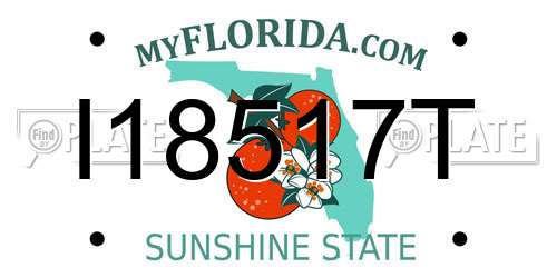 I18517T Florida License Plate