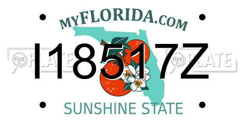 I18517Z Florida License Plate